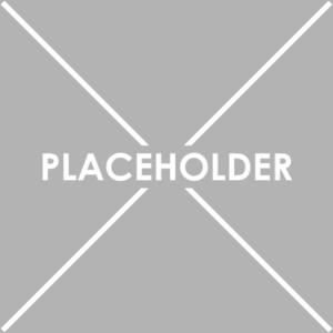 Gray placeholder image with white X